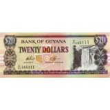 Банкнота 20 долларов. 1996 год, Гайана.