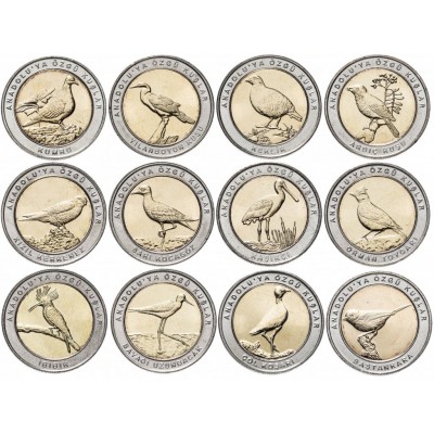 Набор  из 12 монет Турции "Птицы Анатолии" 1 куруш 2019 года (Вариант 2: центр-латунь, кольцо м/н)